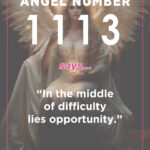 1113 angel number