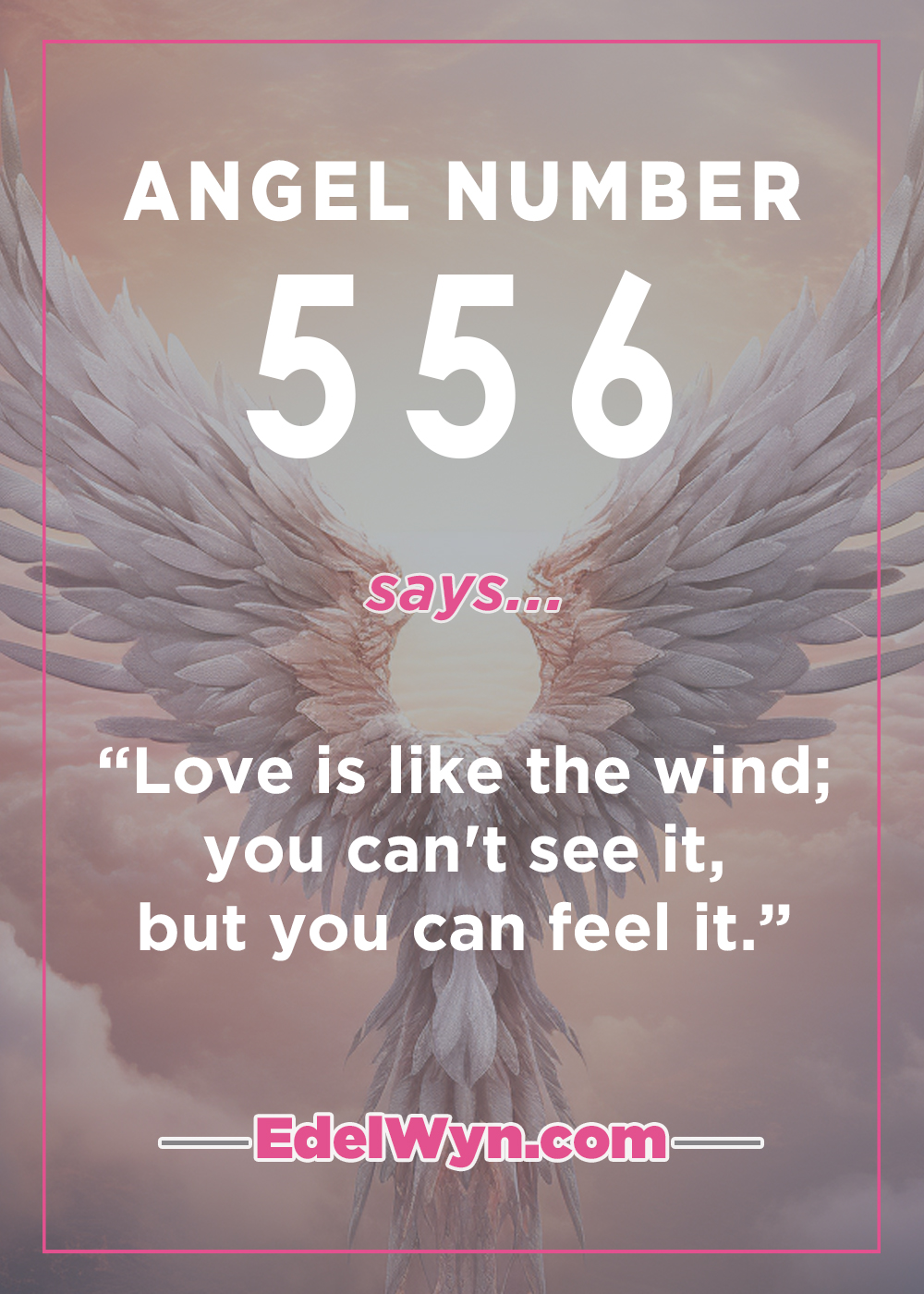 Angels Are Sending You This Message With 556 Angel Number