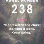 238 angel number meaning