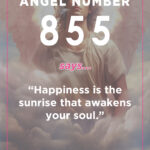 855 angel number meaning