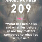 209 angel number meaning